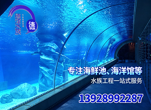 德洋佛山线上分站